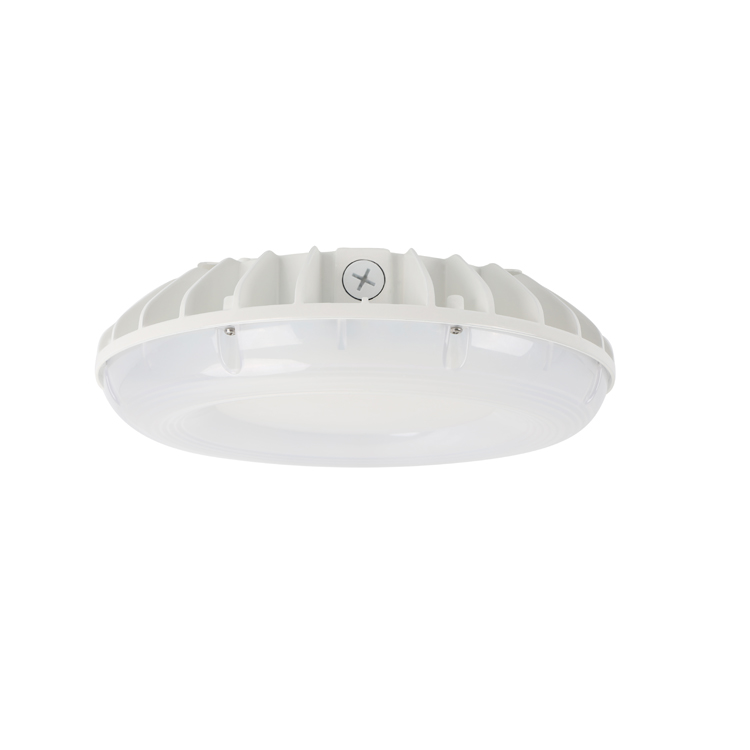 Fashion design 30W 45W 50W and 60W surface round Led canopy gas station light garage light for wet location