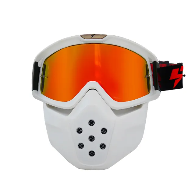 2017 Newest Anti-wind motocross googles printed mask goggles sporting eyewear
