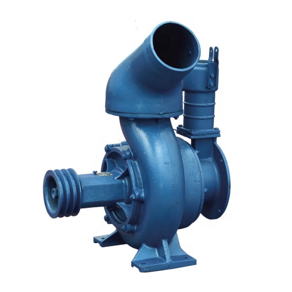 2021 hot sale pump for water diesel engine irrigation pump Double impellers water pump