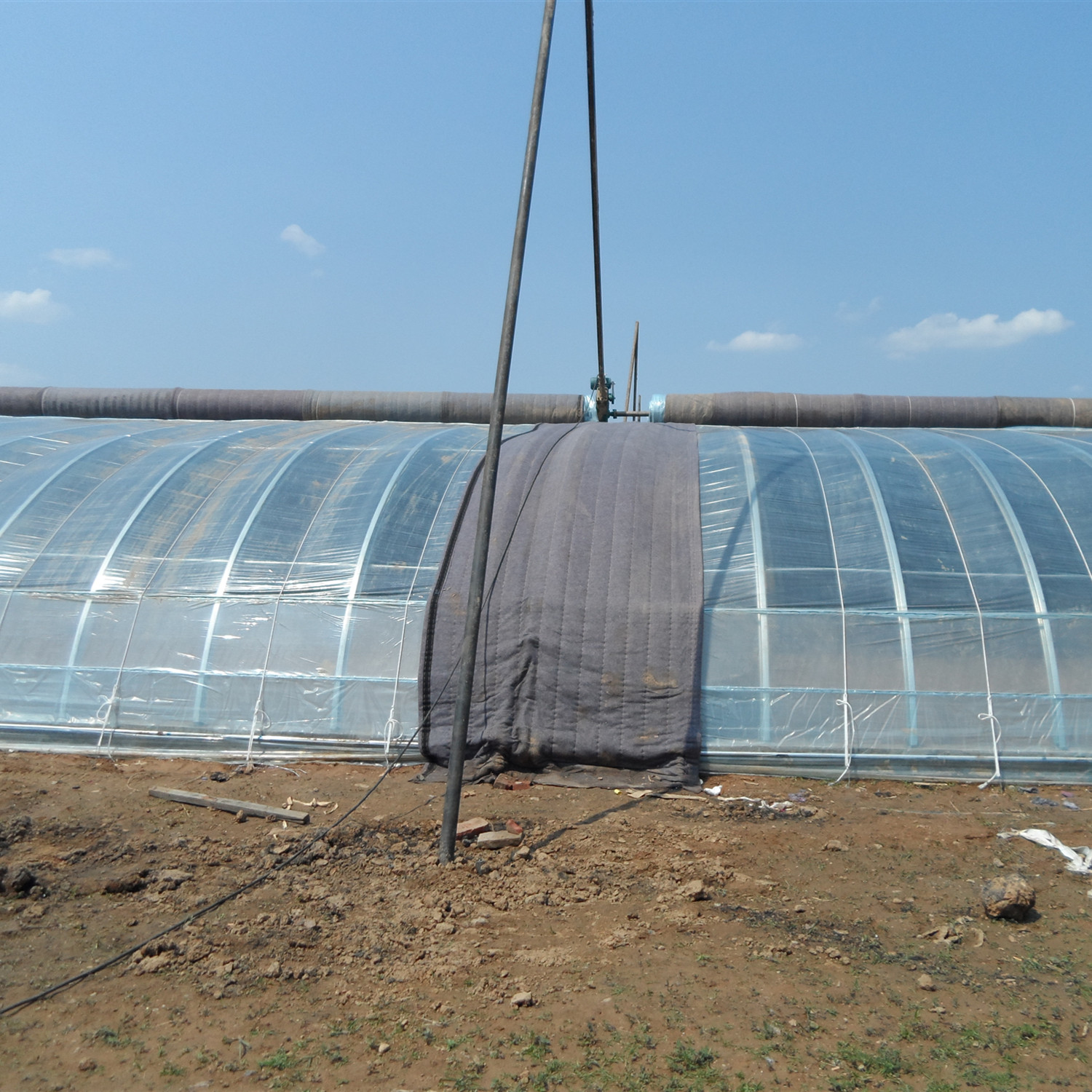 Hangmei low cost film tunnel solar greenhouse