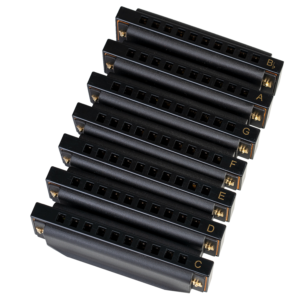 Набор губных гармоник NAOMI 10 отверстий Piedmont Blues Harmonica Harp набор 7 W/Case G, A, Bb, C, D, E, F