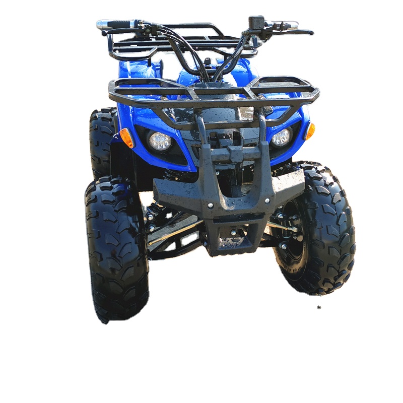 Оптовая продажа напрямую с фабрики Китая Mini 4 квадроциклов Atv 49Cc для взрослых по доступной цене