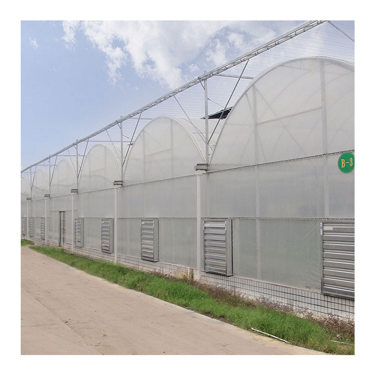 Multi-span Film Greenhouse with high transparency and toughness Plastic Cover Agriculture greenhouse