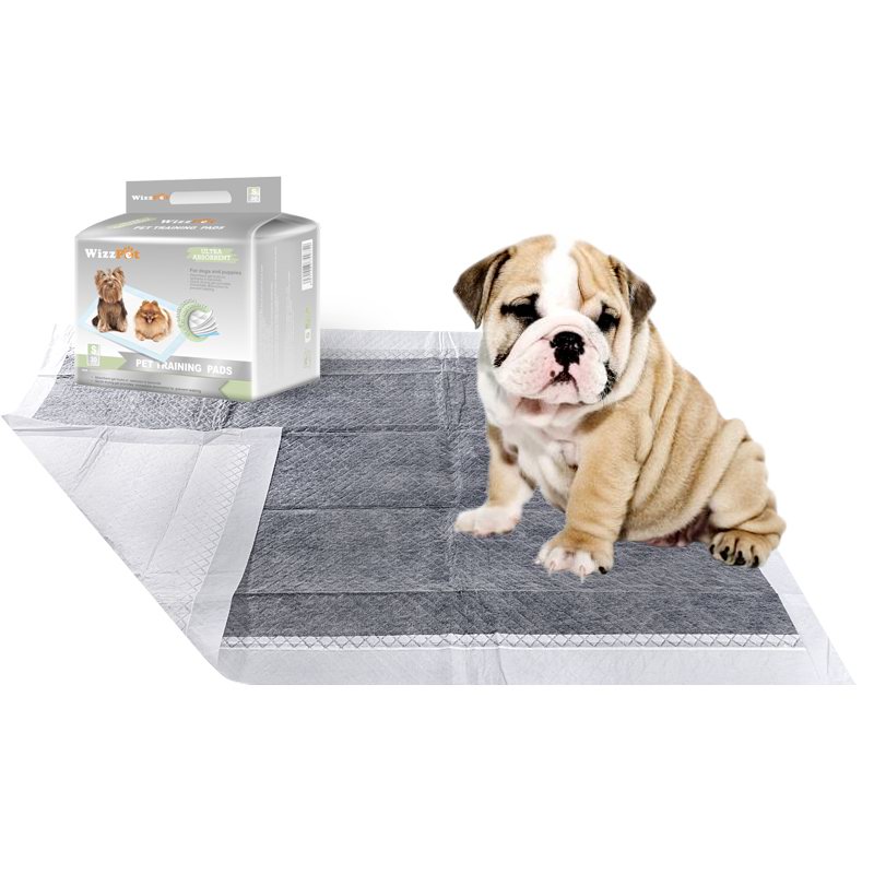 Wholesale Cheap Dog and Puppy Pet Under Pad Bamboo Charcoal Cat Pee Mat Training Holder Manufacture for Pet