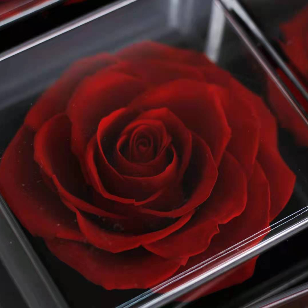 Jewel case with preserved fresh rose flower long lasting dried natural flower
