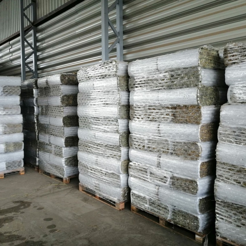 Sun dried fresh Timothy dry hay as a perfect horse feed