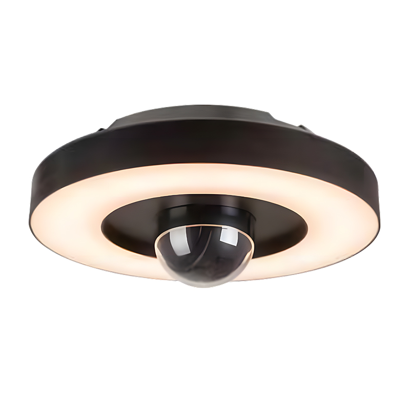 Hot Sale Style Garden Security Light Can Video Conversation With Sensor Outdoor Wifi Light LED Security Camera