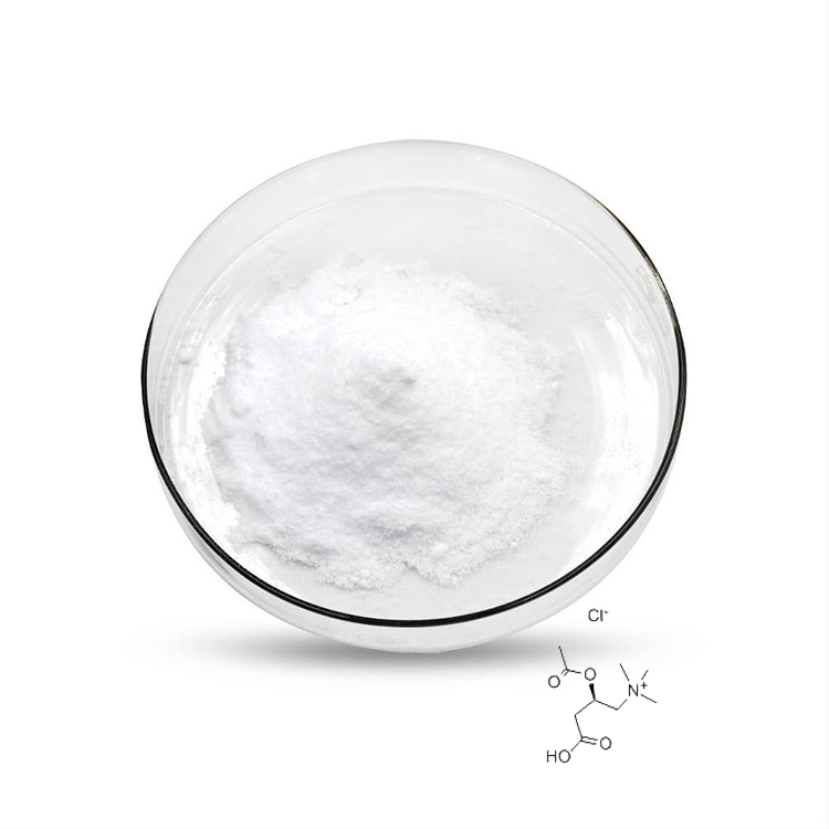 Ацетил L-карнитин HCL CAS No.5080-50-2 улучшение мужской репродуктивной функции, Улучшение иммунитета