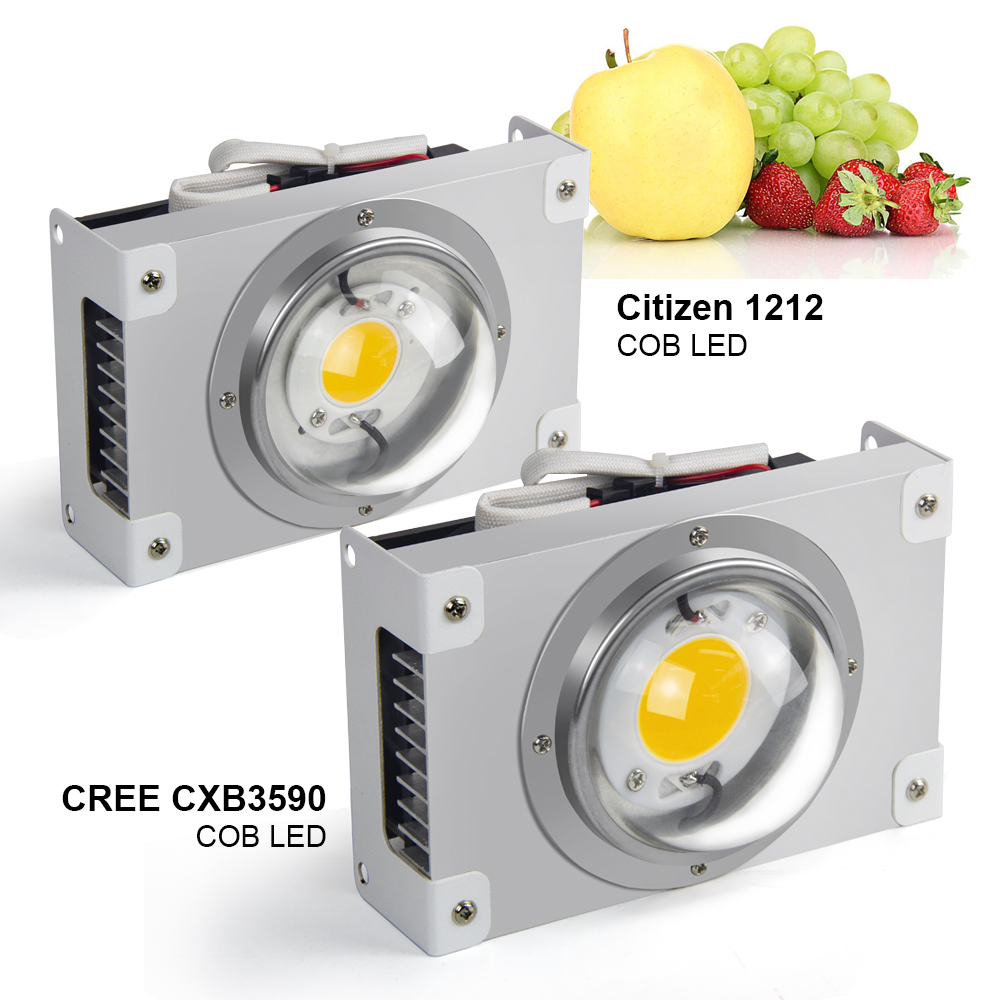 Новейшие 100 ватт cob grow lights 3000k 3500k 5000k CXB3590 полный спектр led grow light для коммерческого садоводства