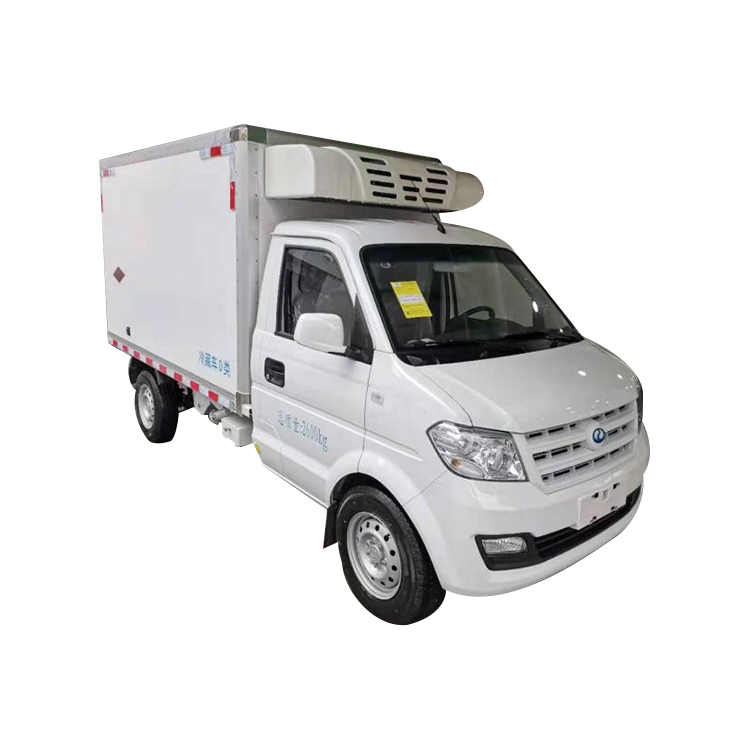 Bai Qin 4x2 4,5 М 42 кВтч Новая энергия Чистая электрическая батарея Электрический РЕФРИЖЕРАТОРНЫЙ грузовик