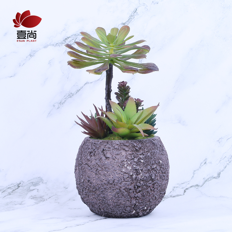 ES1059 High-Quality Artificial Succulent Plants Set With Glass Pots In Wooden Tray Succulents For Home Decor
