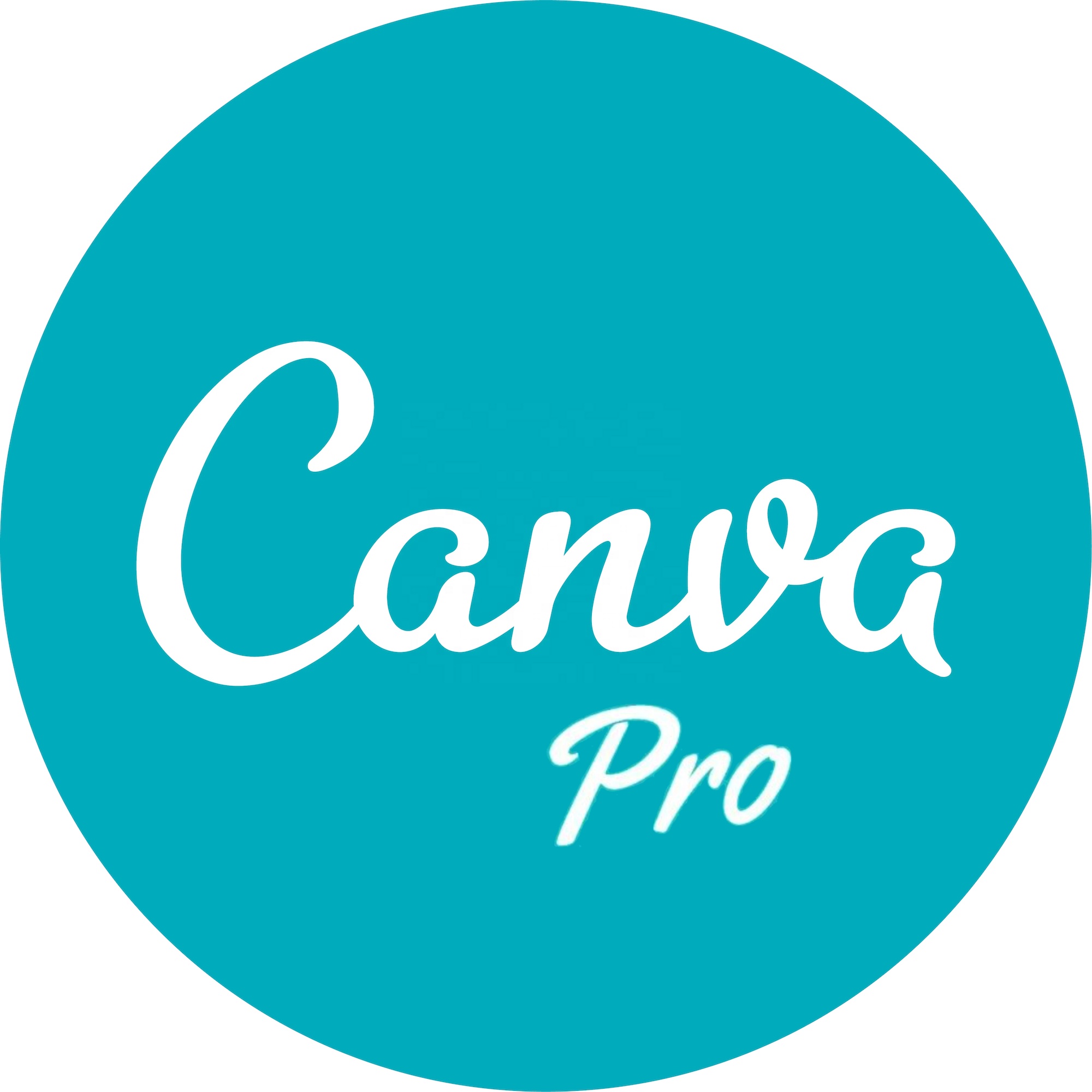 Canva Pro частная учетная запись 1 год не версии Edu официальная оригинальная электронная почта доставка программное обеспечение для онлайн графического дизайна