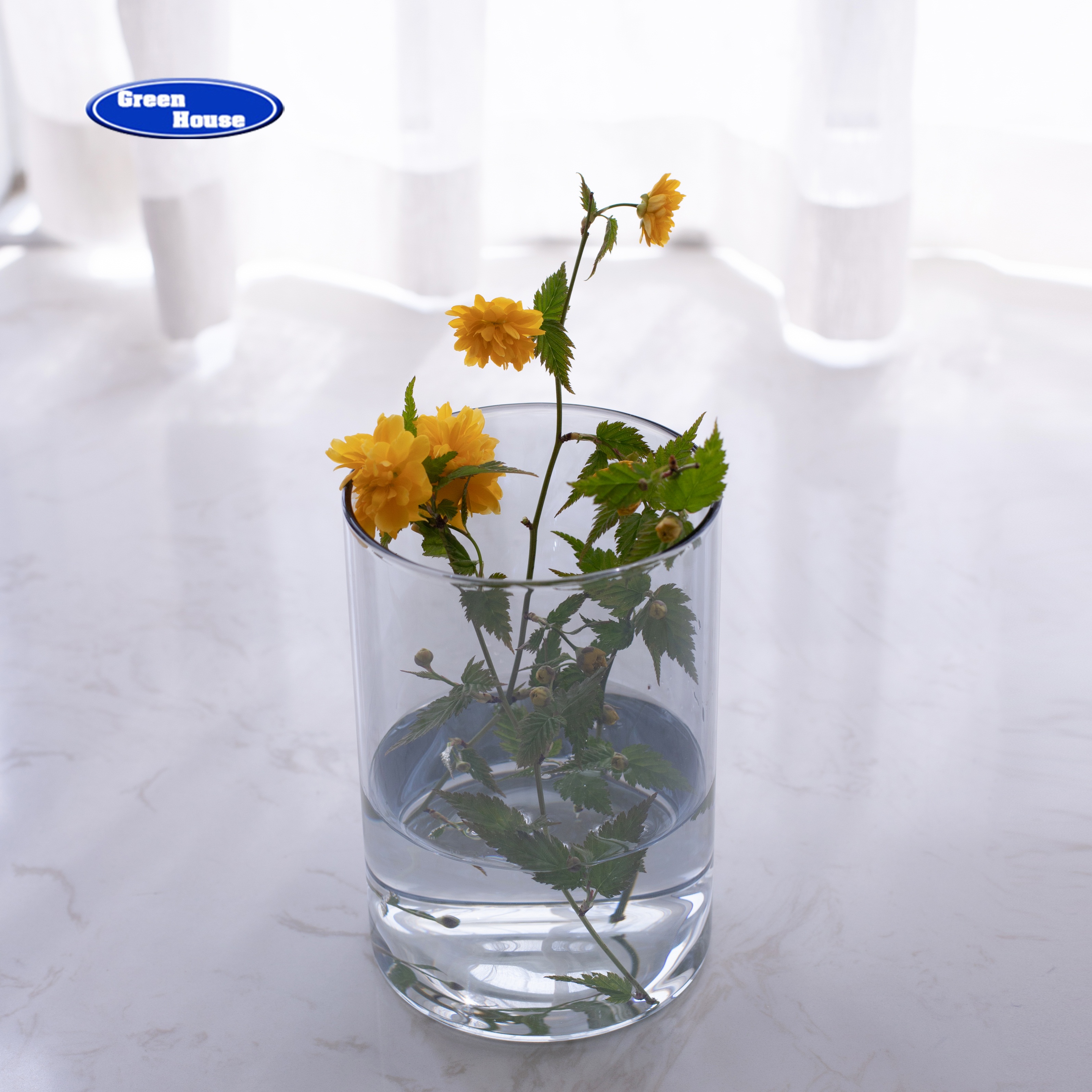 Clear Cylinder Glass Vase for Flower Plant Arrangment