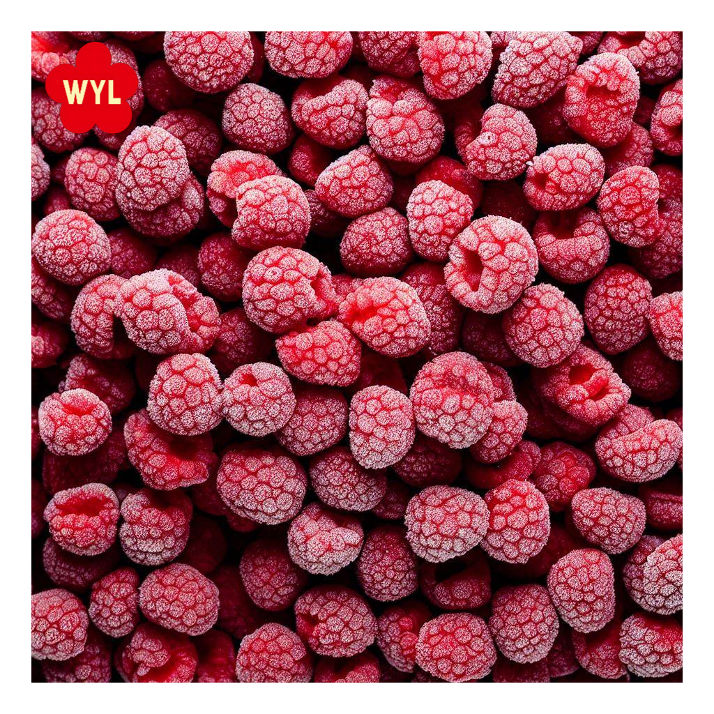 Bulk berries frozen raspberry IQF fruit whole origin China export Russia