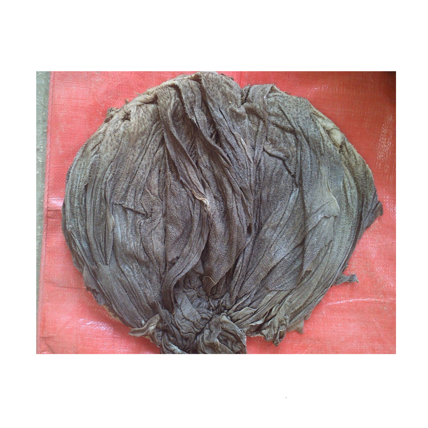 High Quality Beef Omasum Salted Dried Beef Wholesale Omasum in Low Price From Bangladesh