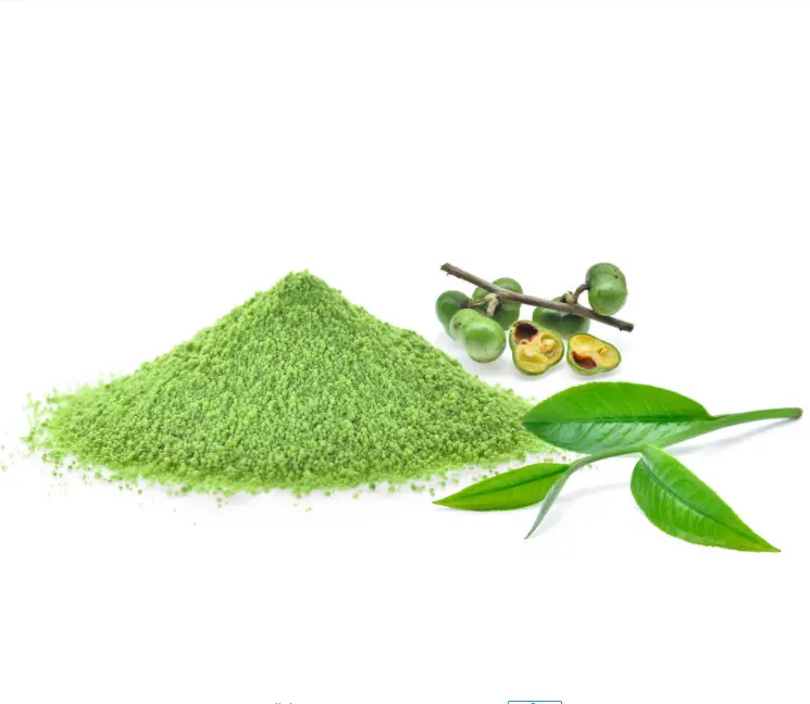 Herben Supply Natural Tea polyphenols 98% Green Tea Extract Powder