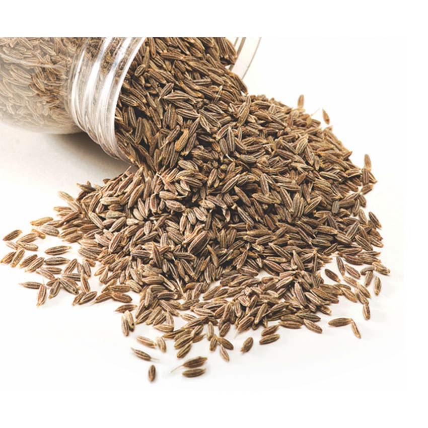 HERBS SPICES SEEDS VEGETABLES New seed types for SPICE POWER YEllOW Cumin seeds