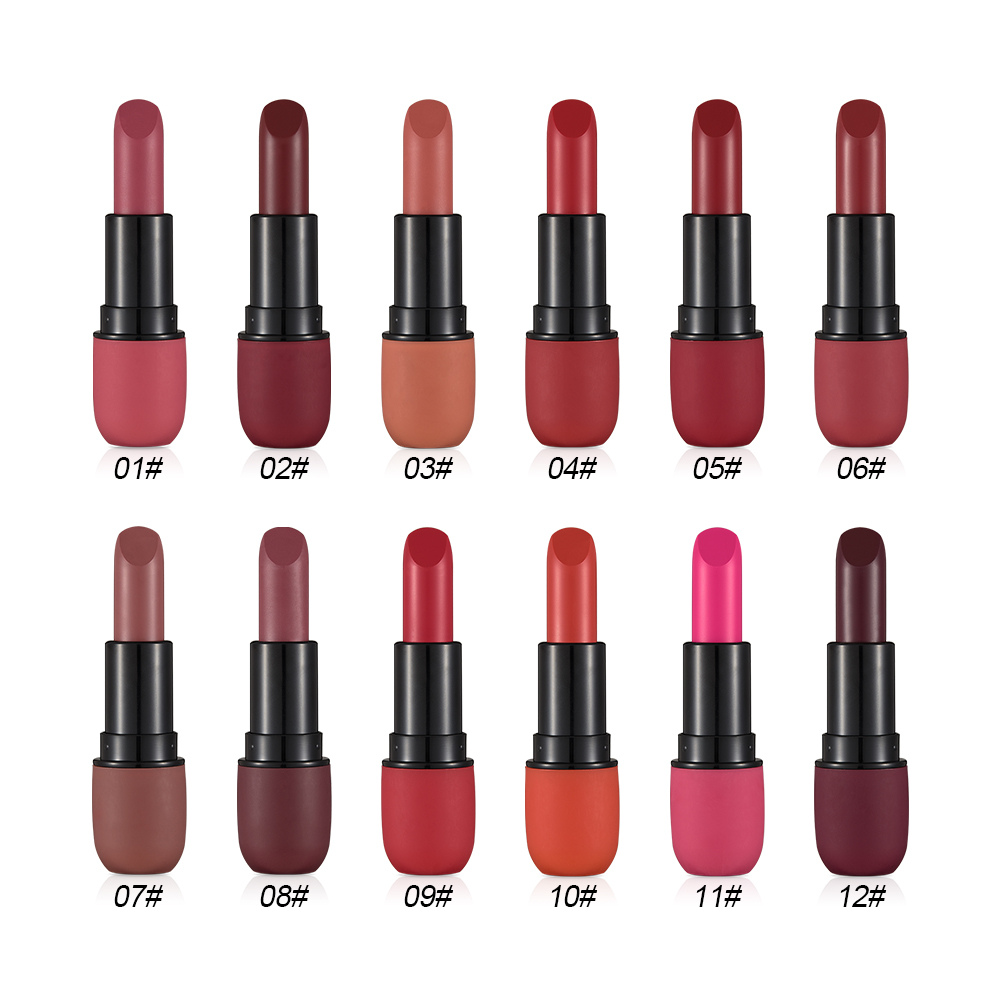 Hot Selling 12 Colors Long Lasting Waterproof Lipstick Beauty Matte Lipgloss Private Label