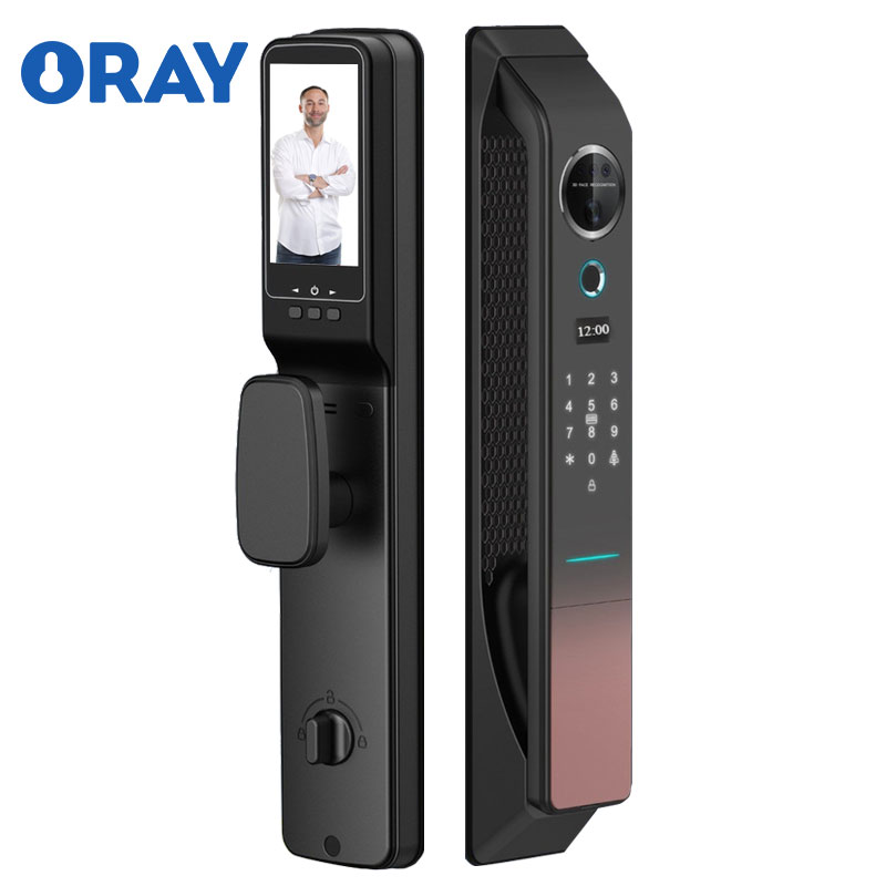 Home Office Household Room Waterproof Fir-proof 3D Face Recognition remote control Smart door Lock with camera doorbell