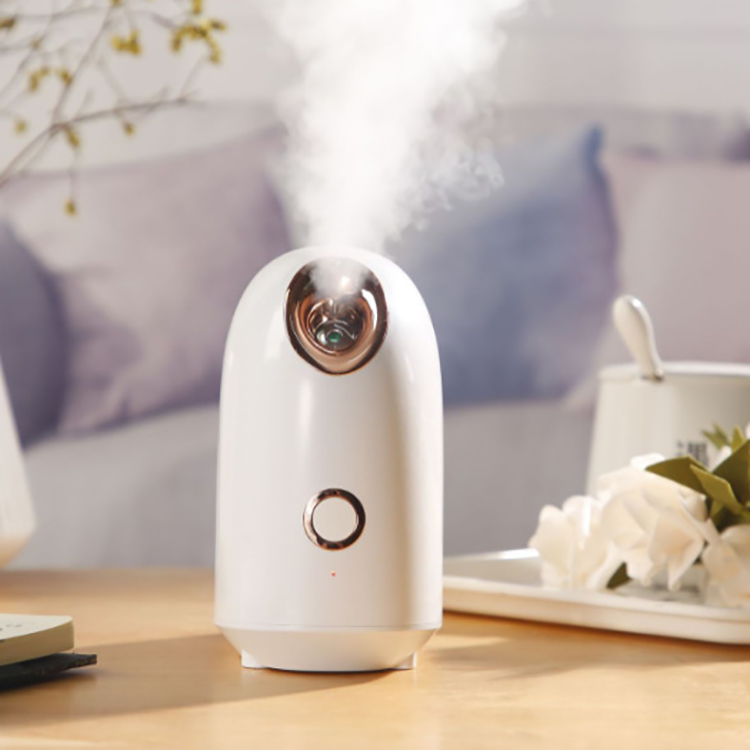 Wholesale Face Spa Steamer Pores Nano Steam Skin Renewal Sauna Skin Care