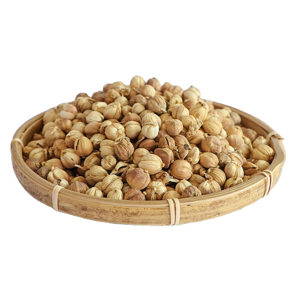 Cardamom New Arrival Top Quality Kitchen Spices Spice Tea Healthy Food Cardamom Seasoning for Cooking China White Spicy AD Dried