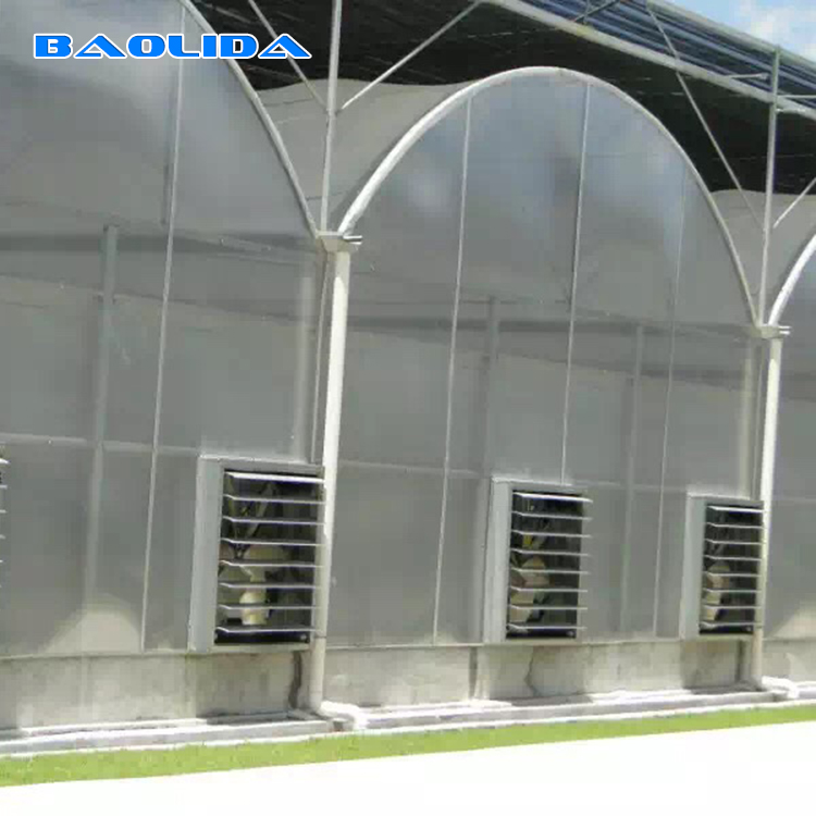 Morden aluminium frame polycarbonate plastic sheet greenhouse