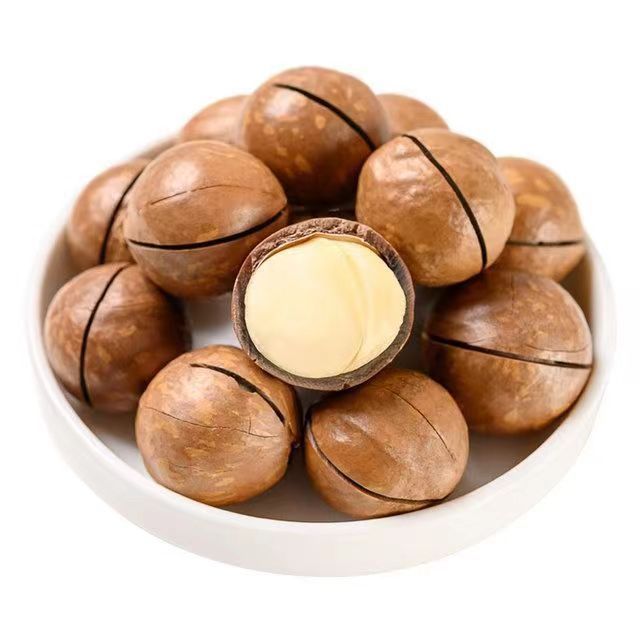 High Quality Raw Macadamia Kernels Macadamia Nuts Roasted
