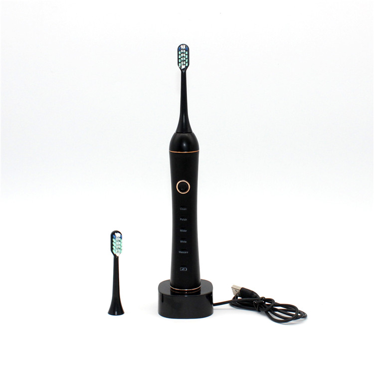 Dragon Hot Sale Factory Supply Portable Toothbrush Electric