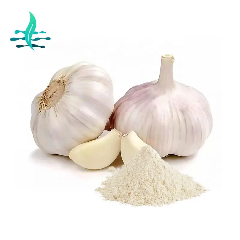 Factory direct supply of high-quality garlic extract powder