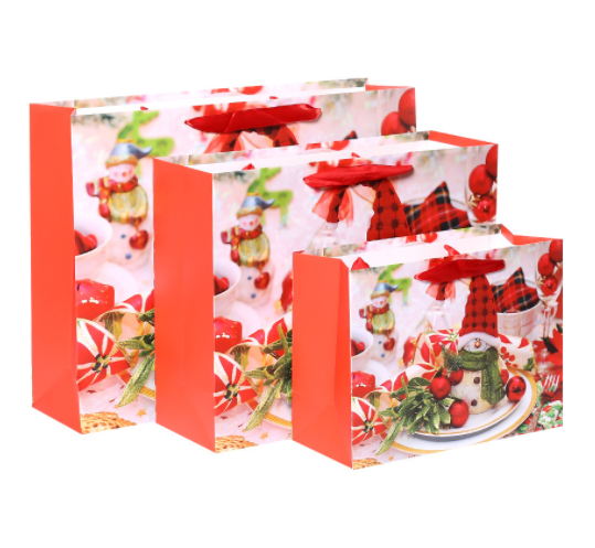 Design Paper Bag Custom Biodegradable Paper Gift Bags Christmas Print Custom Shopping Packaging Paper Bag