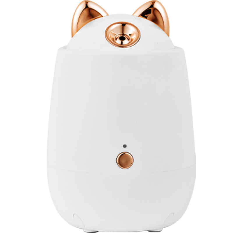 WYWD Personal Care Face Steamer Mini Cute Shape Face Steam Facial Steamer