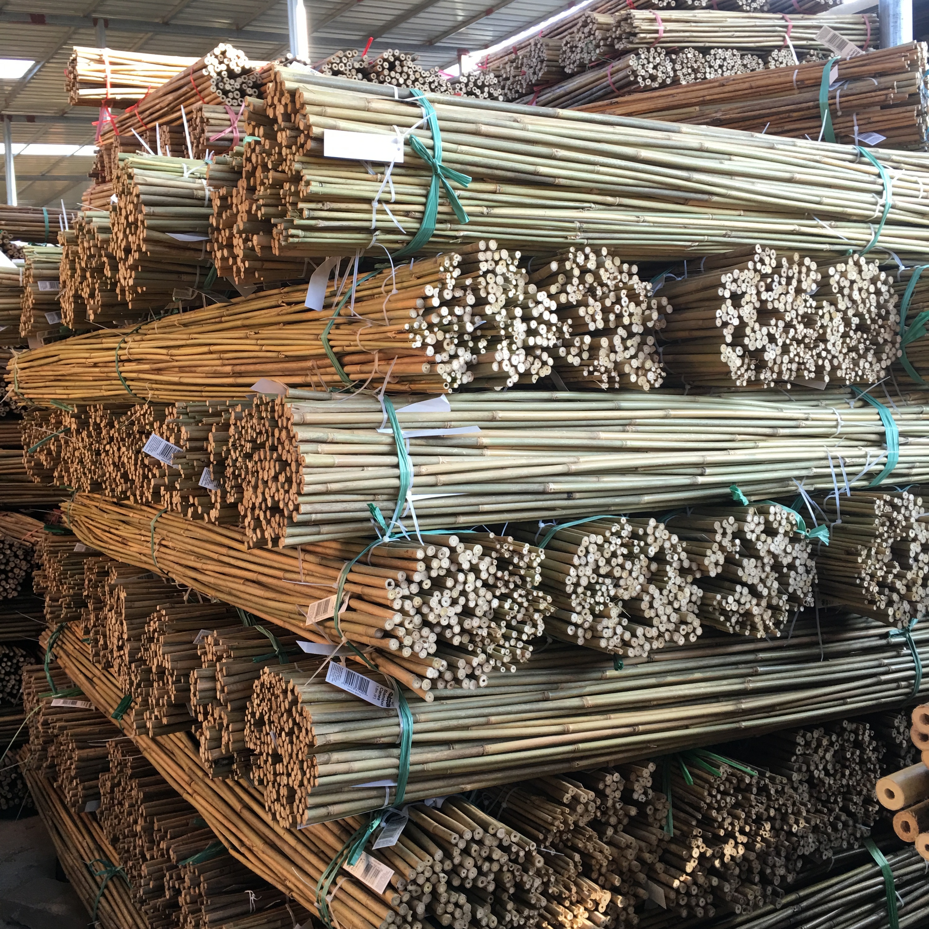 Hot Sales Natural Raw bamboo poles/canes/stakes