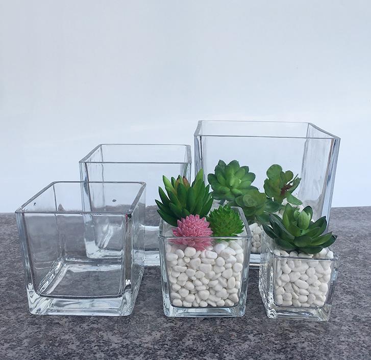 square hydroponic glass square cylinder transparent square cylinder 10CM