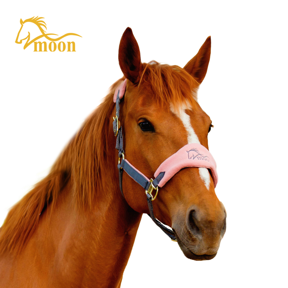 Horse care supplies/Equestrian Equipment /Horse Halters