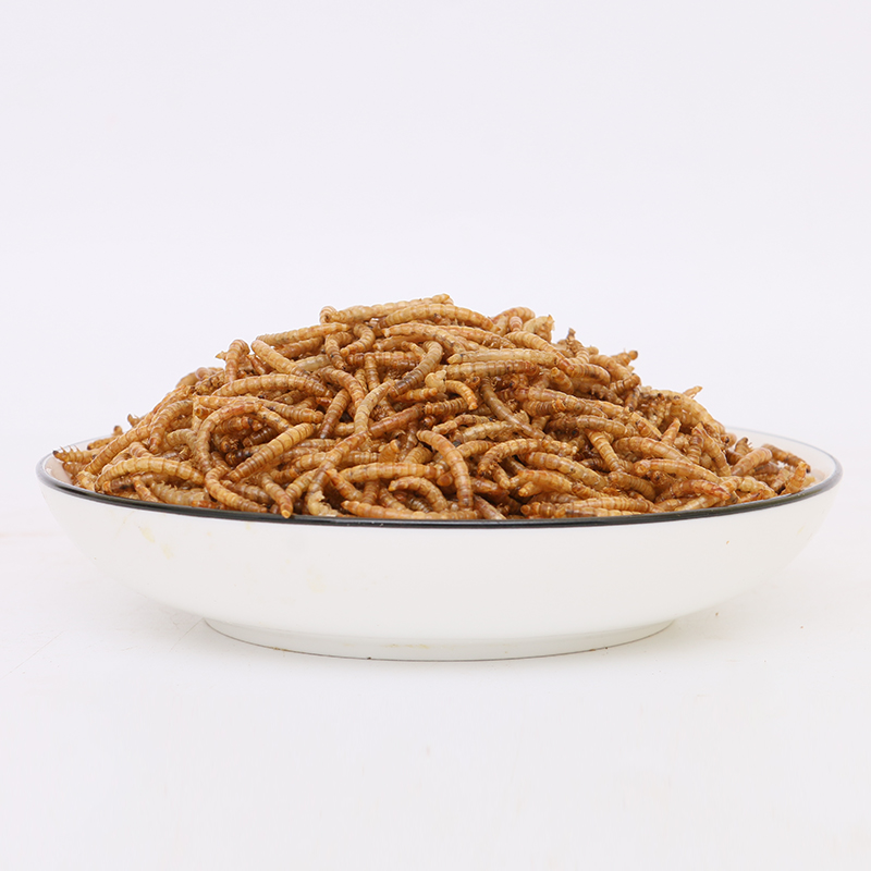 Wholesale export-grade bird food hamster edible yellow mealworm dried mealworm