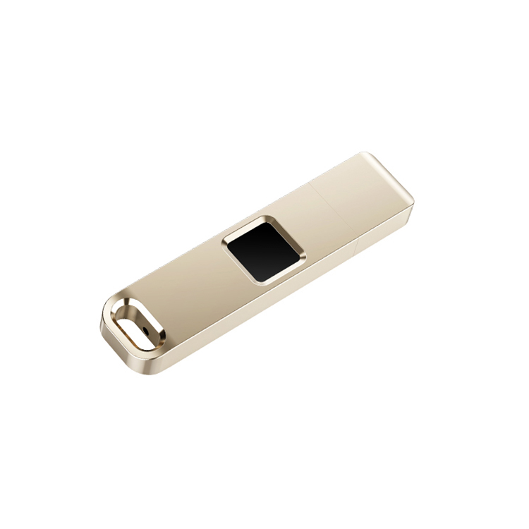 Oem Высокое качество Защитная информация Usb флэш-накопитель Usb 3,0 отпечаток пальца Usb-накопитель