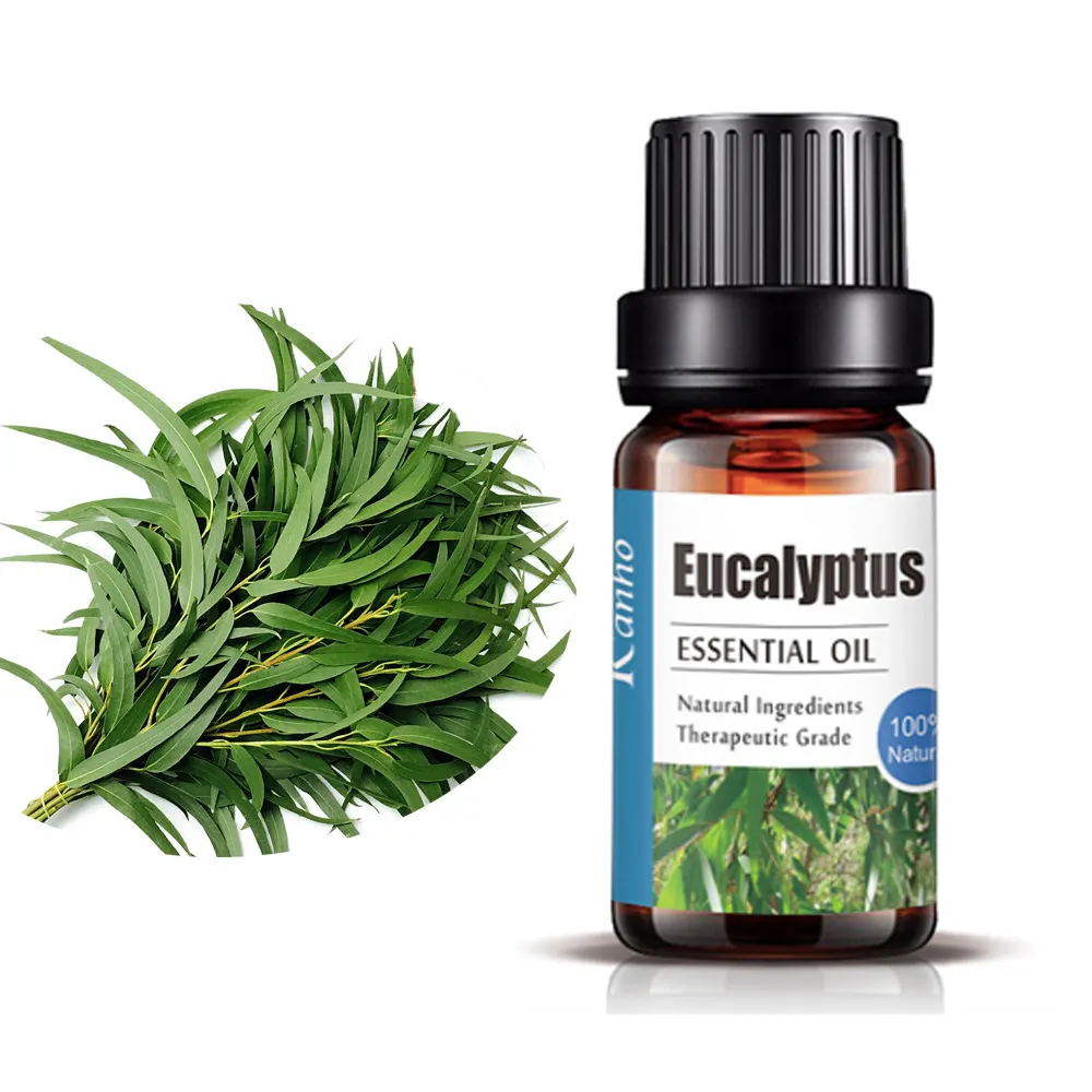 1kg natural 100% pure essential eucalyptus oil gallon wholesale price private label eucalyptus globulus oil bulk organic