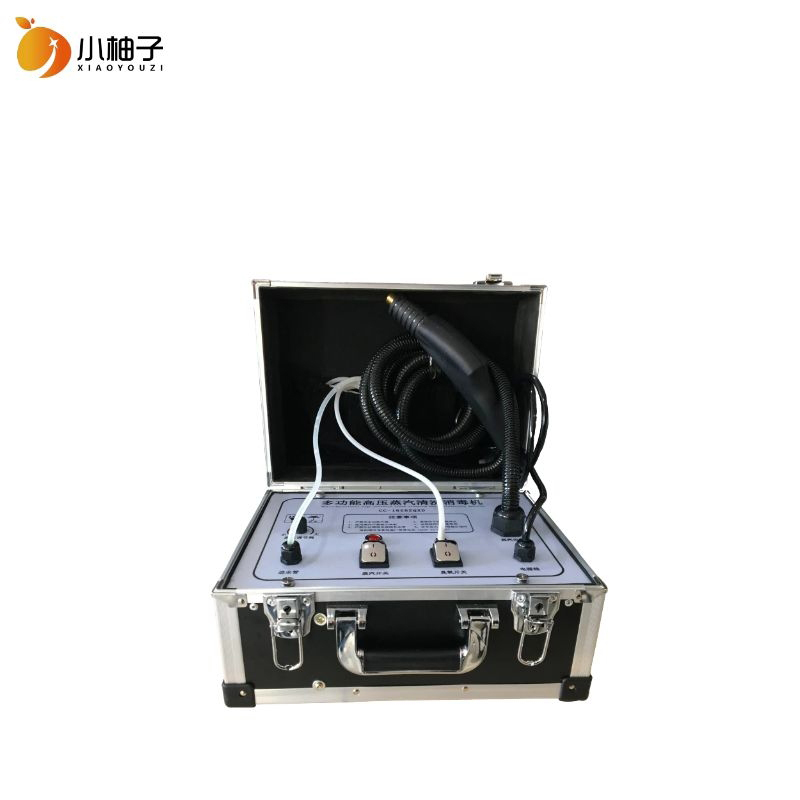 Профессиональный домашнего использования 220V 3000W Паровой Очиститель высокого давления ручной чистки ковров машина