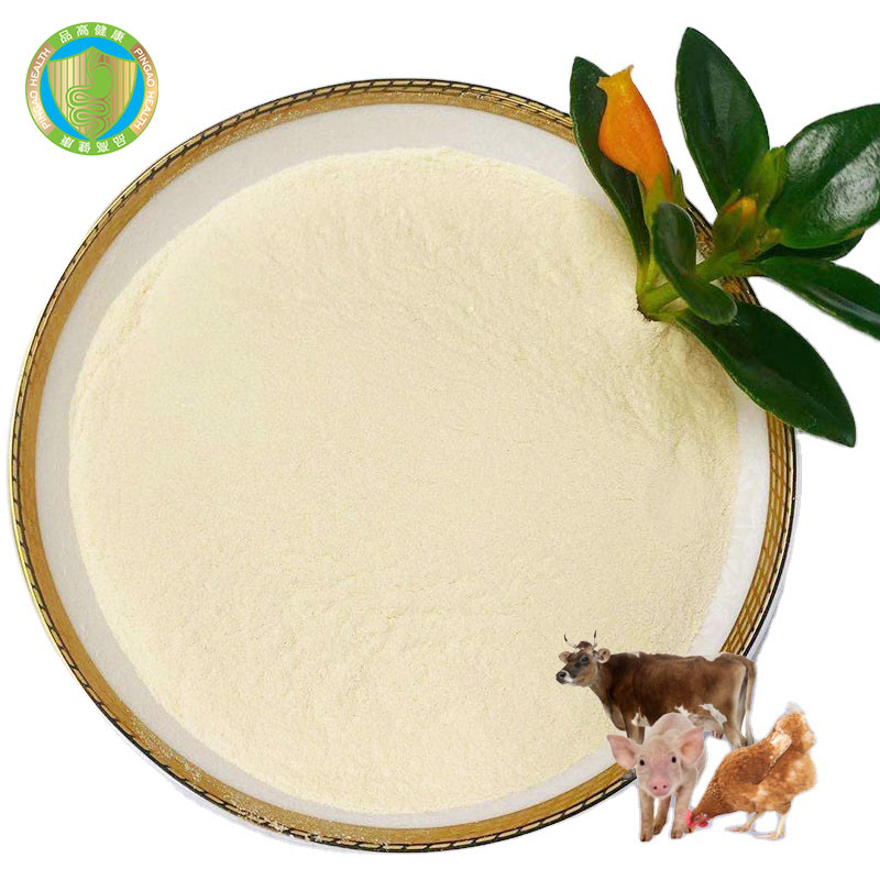 Оптовая продажа, Высококачественные Пищевые Добавки lactobacillus casei
