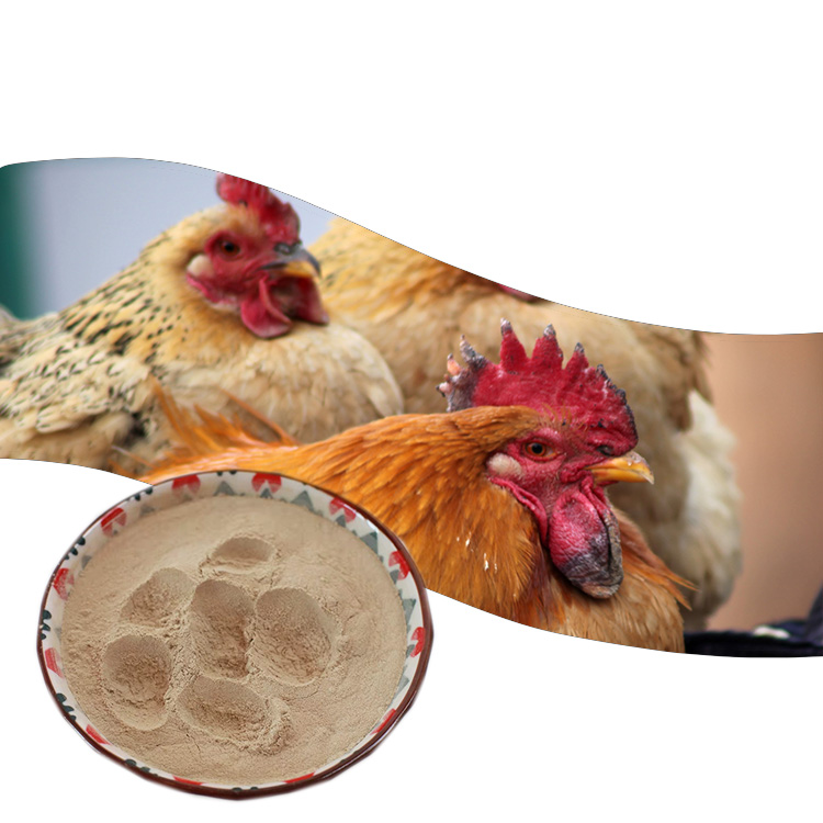 Best price Poultry feed special-purpose complex enzyme, rapid weight gain