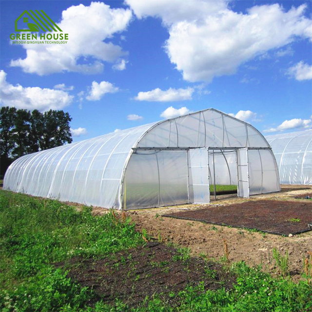 Low-cost agricultural greenhouse single tunnel greenhouse fruit cultivation