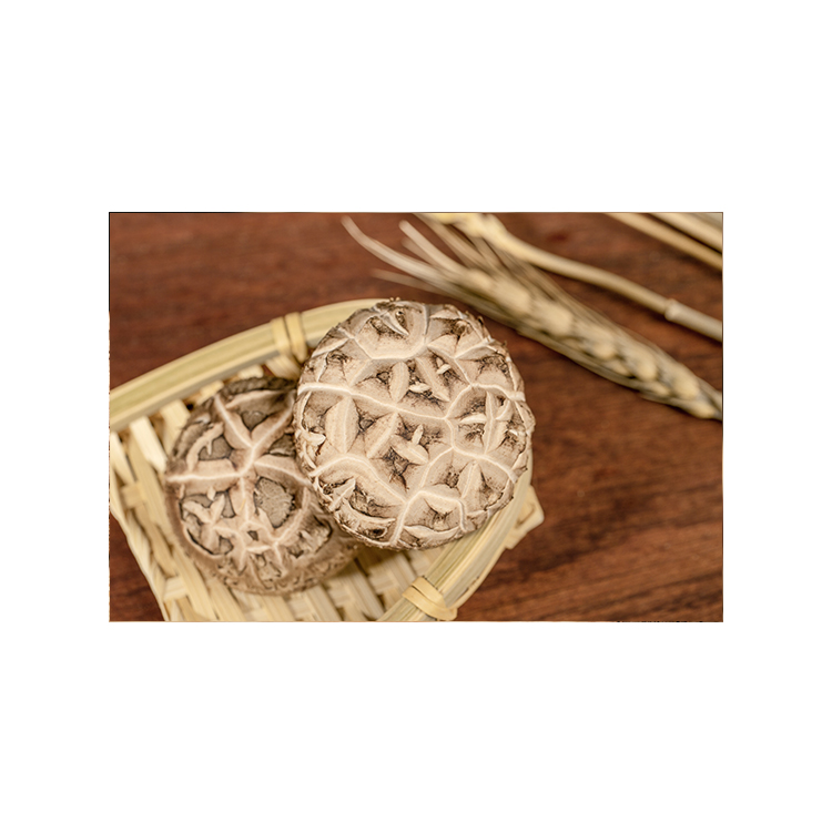 Factory Direct Sales Tawny Owl Faced Dried Organic Shiitake Mushrooms