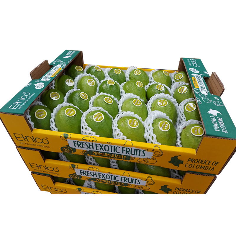 Rich Flavor Colombian Fruits Fresh Tropical Fruit Pink Guava and White Guava