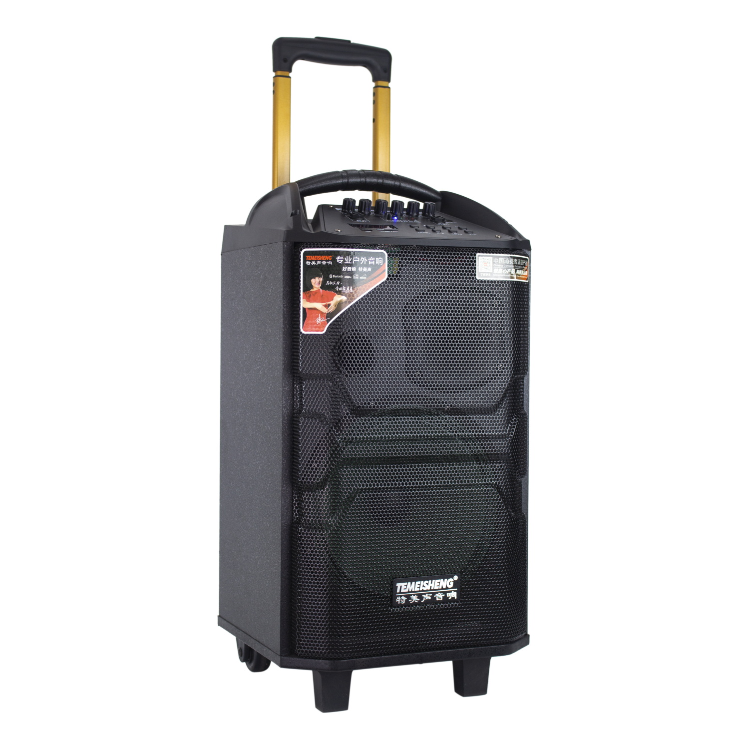12 "Bluetooh Portable Trolley Loud Speaker