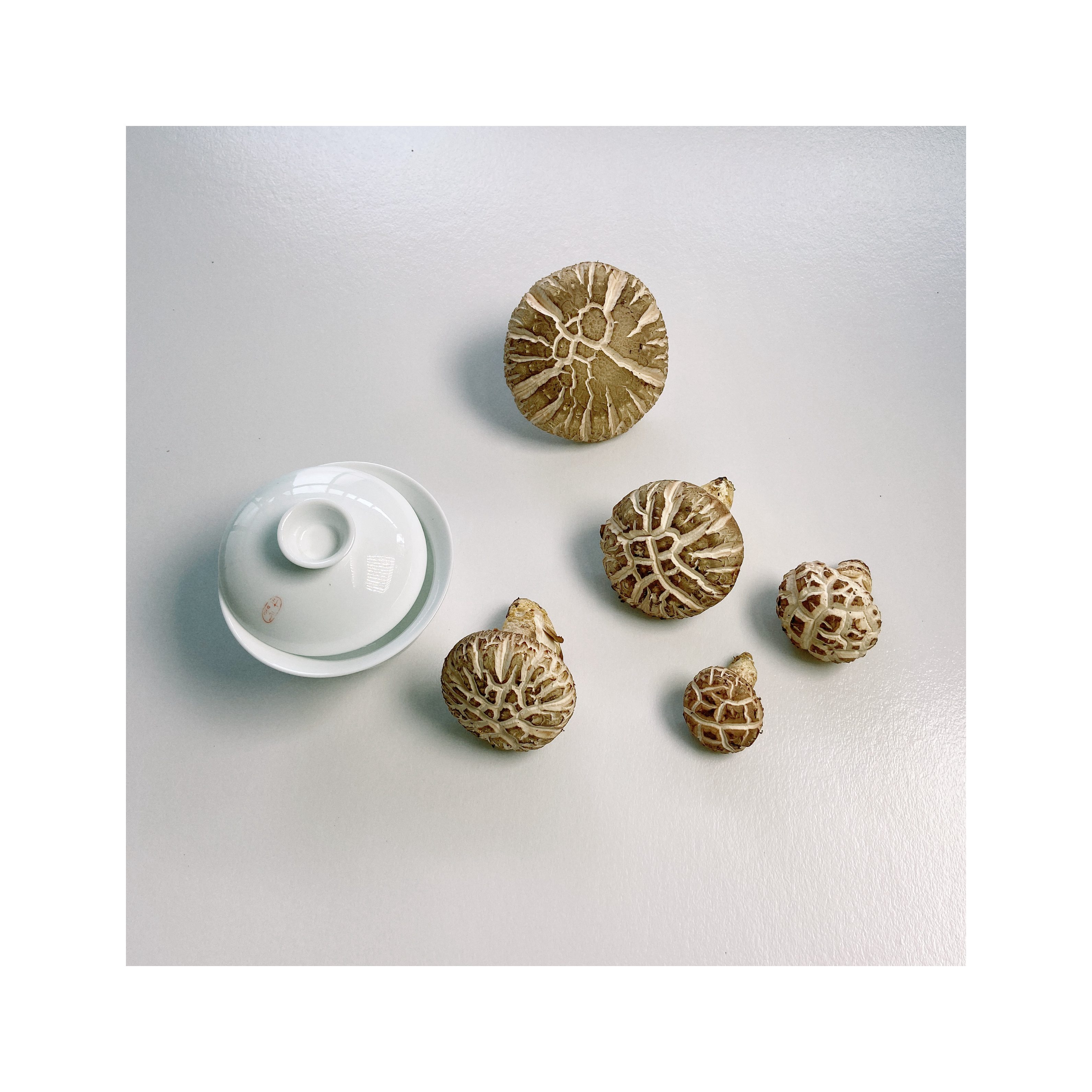 Sale Various Fine Fresh Hua Mushroom Farm Dry China Shiitake Mushroom