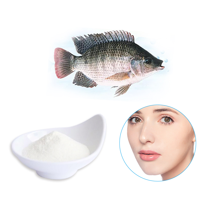 Tilapia fish skin beauty Granules premium fish white collagen peptide china hydrolyzed fish collagen tripeptide