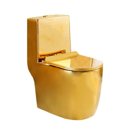 Dual Flush Elongated One Piece Height Water Sense Modern Design Toilet