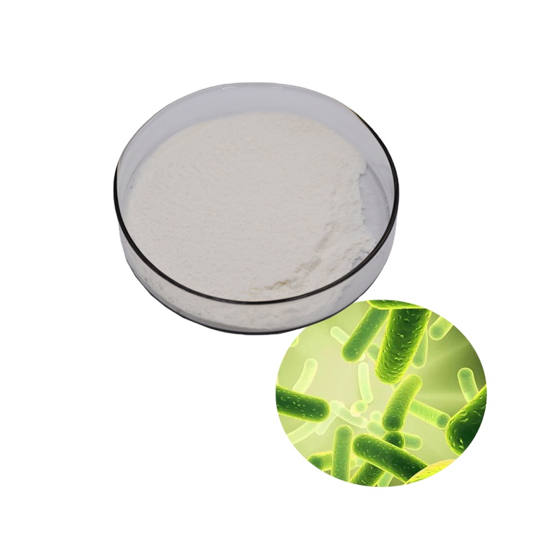 Pyson Freeze-dried Probiotics Powder Bifidobacterium Infantis 140 Billion CFU/g