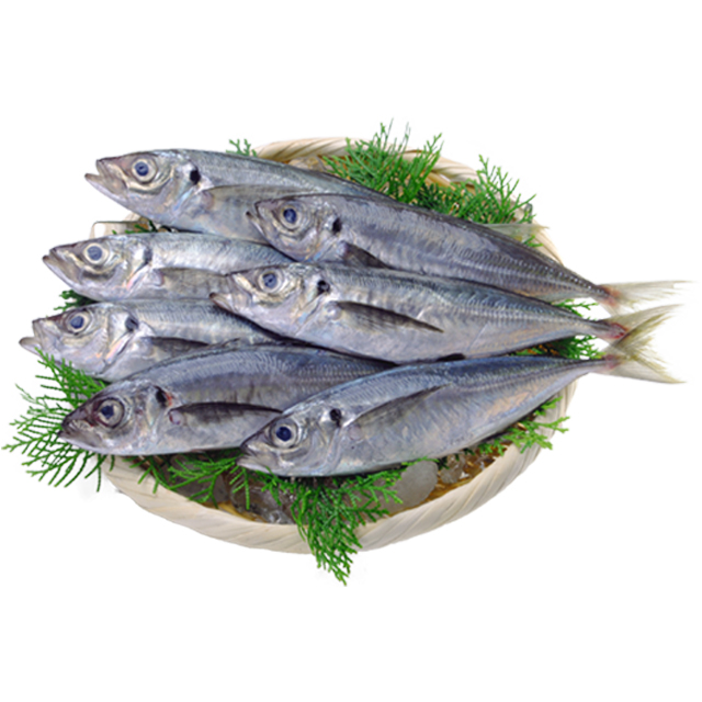 High quality freshness good texture frozen white fish fillets