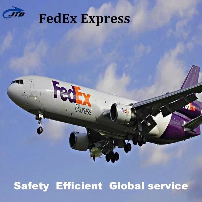 Cheapest Rates Logistics Agent Amazon FBA Express Sea Freight Forwarder from Shenzhen to Russia Australia